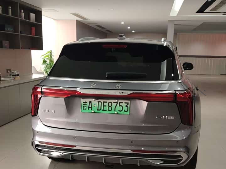 Фото 4 - Hongqi E-HS9