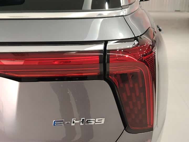 Фото 6 - Hongqi E-HS9