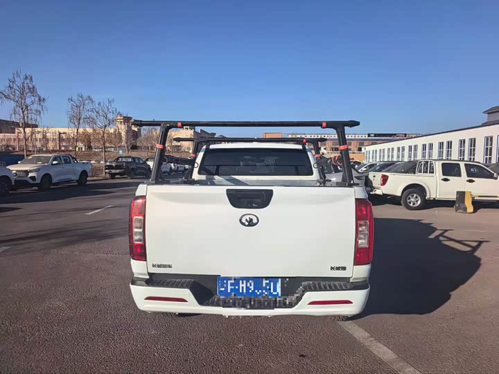 Фото 8 - Great Wall Pao