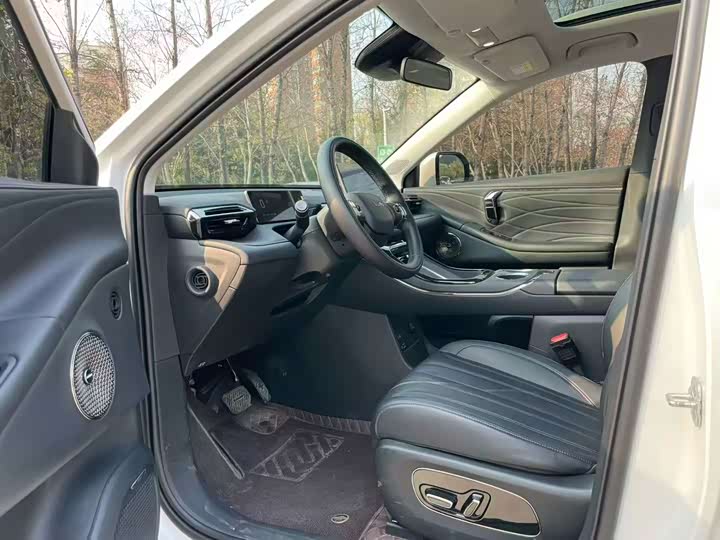 Фото 5 - GAC Aion V