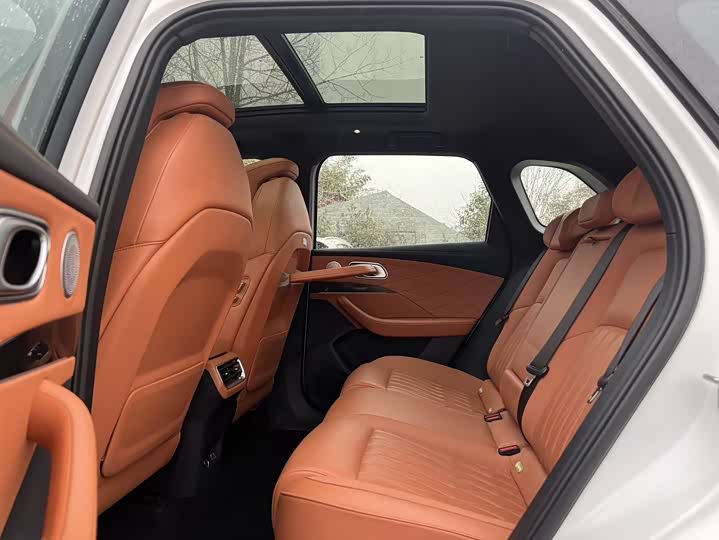 Фото 8 - Hozon L