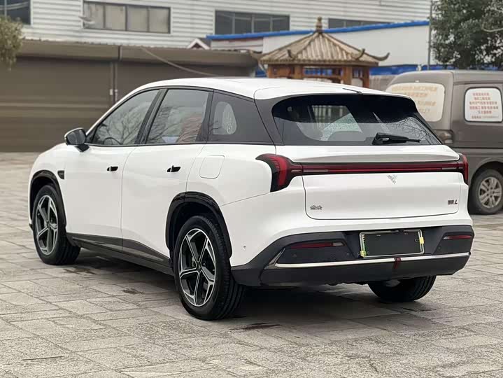 Фото 9 - Hozon L