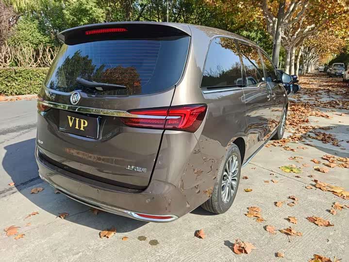 Фото 7 - Buick GL8 ES