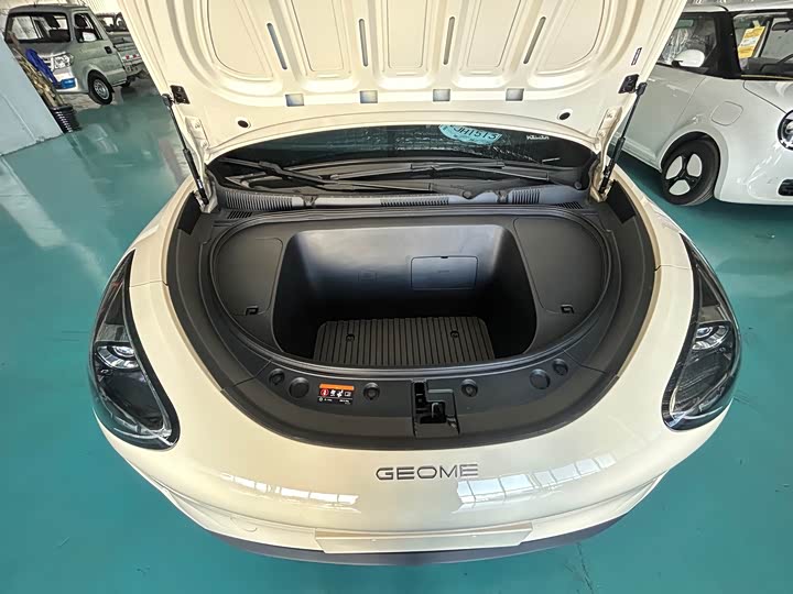 Фото 8 - Geely Galaxy Geome