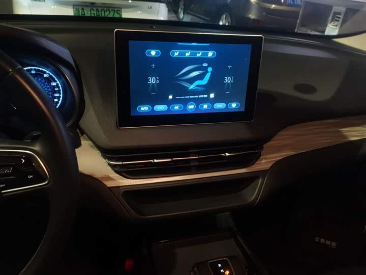 Фото 6 - Hongqi E-QM5