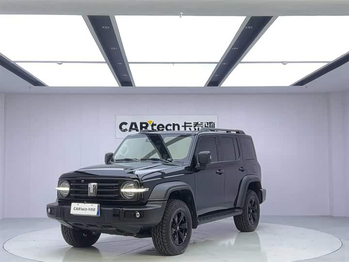 Фото 1 - Tank 300