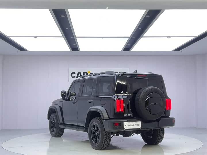 Фото 3 - Tank 300