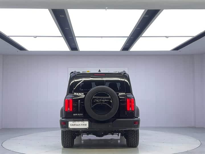 Фото 4 - Tank 300