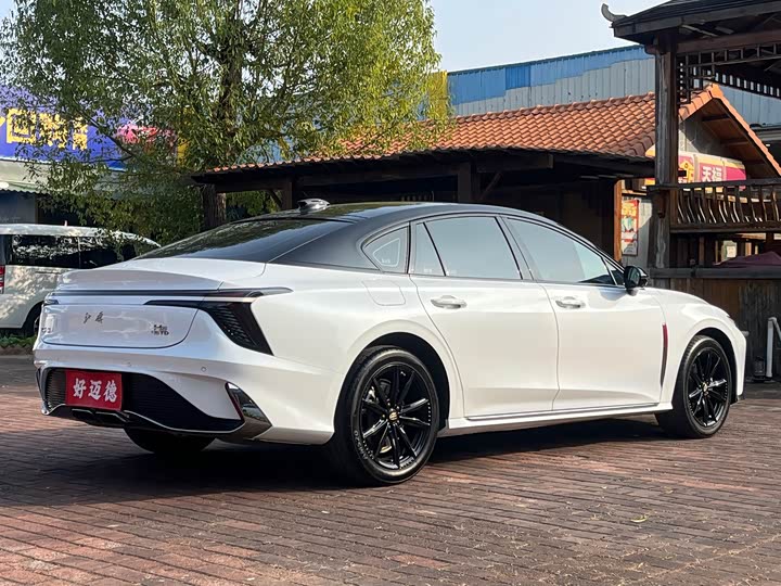 Фото 7 - Hongqi H6