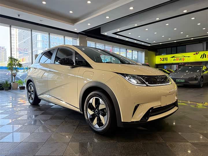 Фото 3 - BYD Dolphin