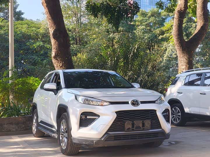 Фото 3 - Toyota Wildlander