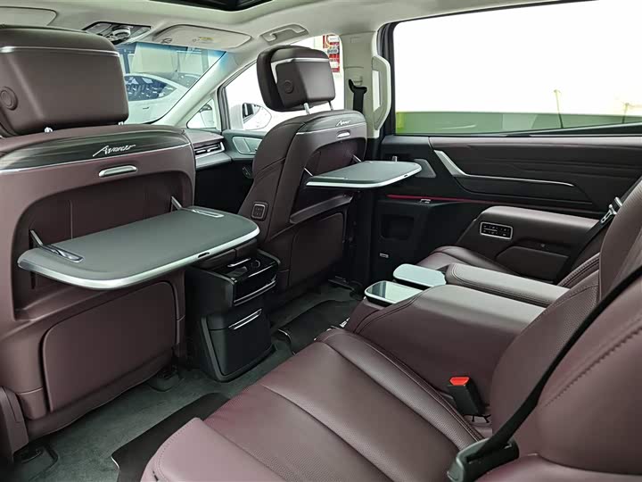 Фото 6 - Buick GL8 Century