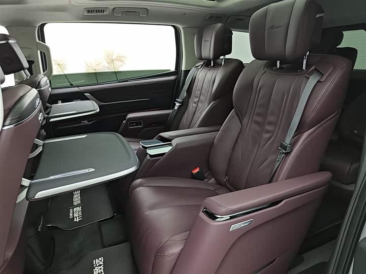 Фото 7 - Buick GL8 Century