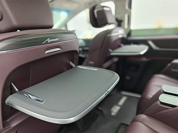 Фото 8 - Buick GL8 Century