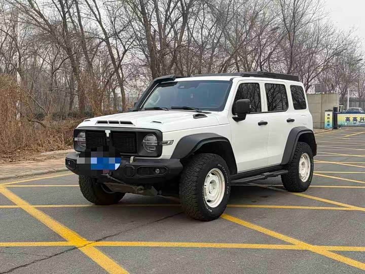 Фото 1 - Tank 300