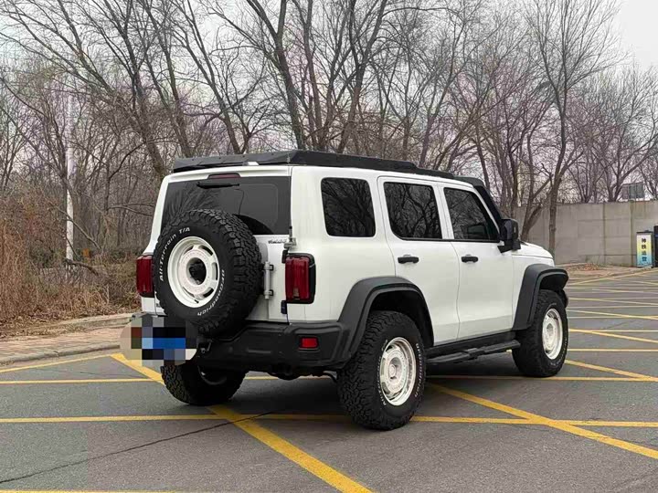 Фото 9 - Tank 300