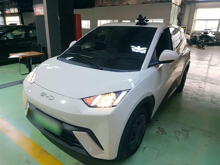 Фото 2 - BYD Seagull