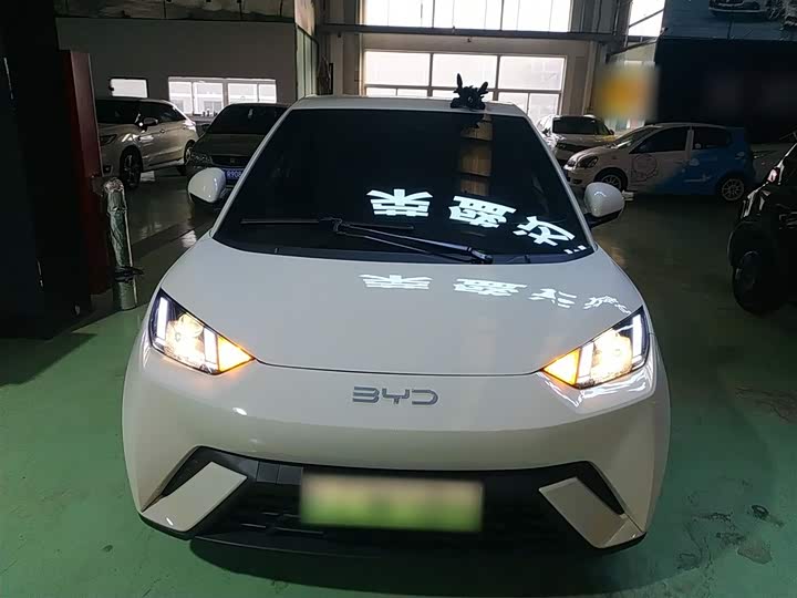 Фото 3 - BYD Seagull