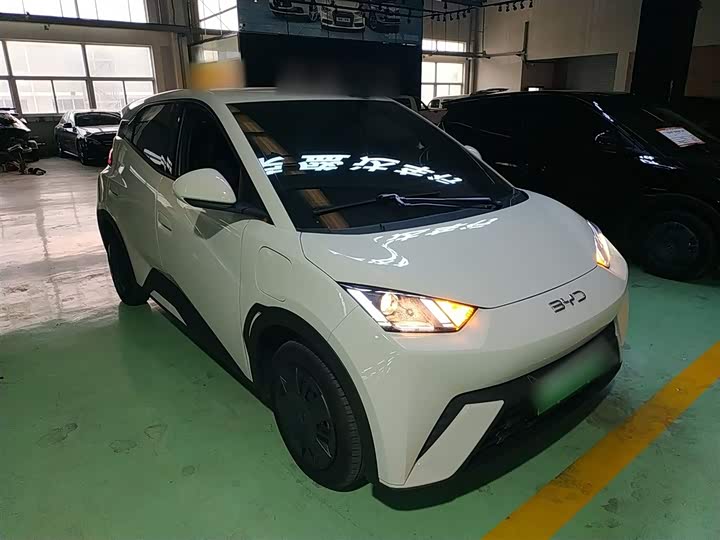 Фото 4 - BYD Seagull