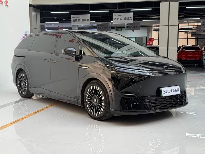 Фото 3 - XPeng X9