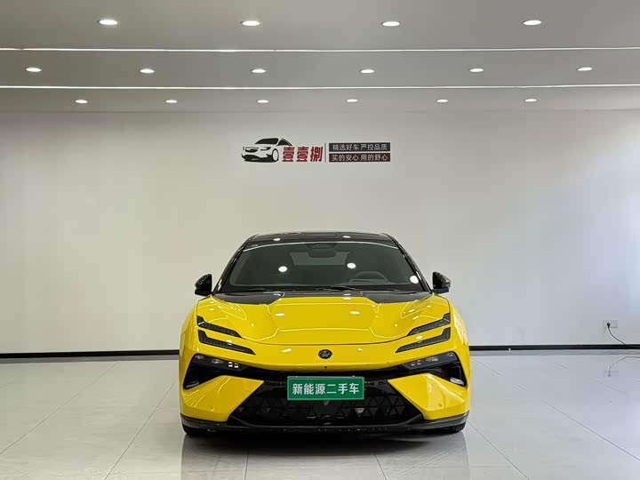 Фото 2 - Lotus Emeya