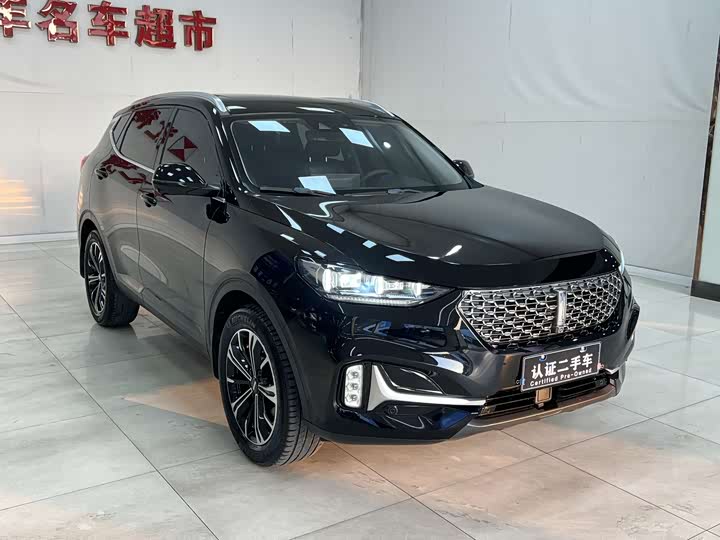 Фото 3 - Wey VV6