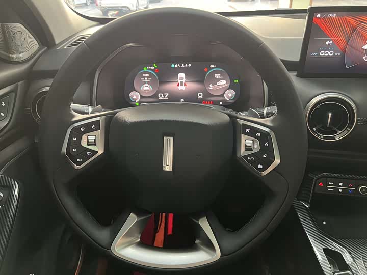 Фото 9 - Wey VV6