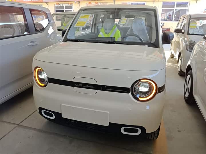 Фото 3 - Geely Galaxy Panda Mini