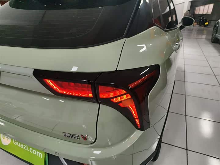 Фото 8 - Hozon V