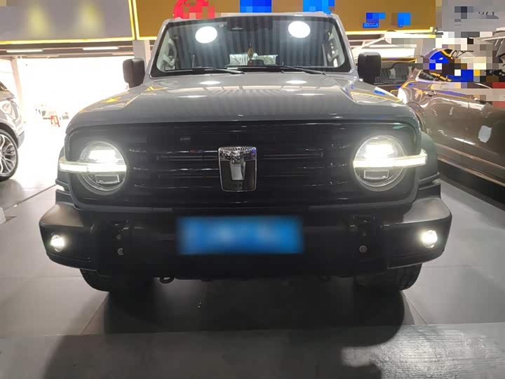 Фото 3 - Tank 300