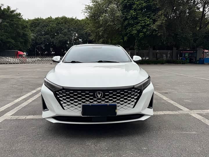 Фото 2 - Changan Raeton Plus