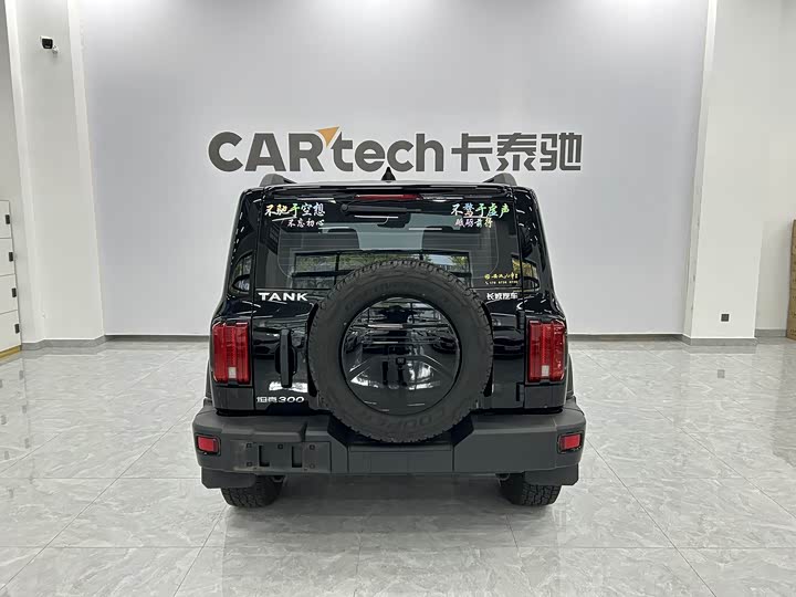 Фото 6 - Tank 300