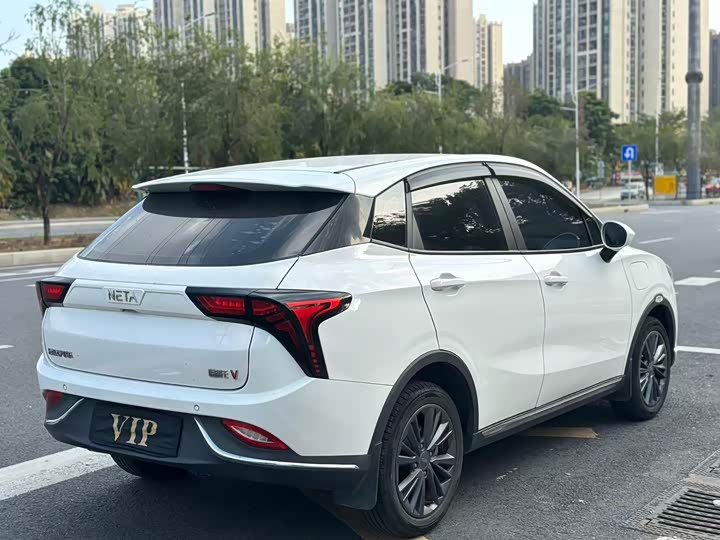 Фото 4 - Hozon V