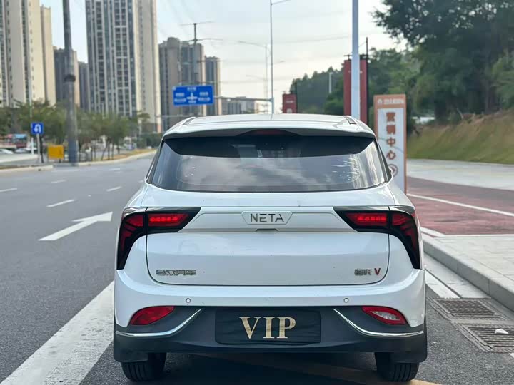 Фото 5 - Hozon V