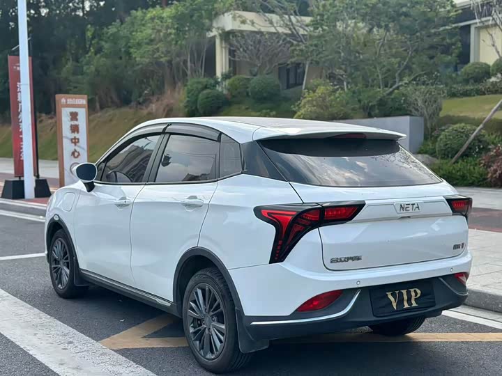 Фото 6 - Hozon V