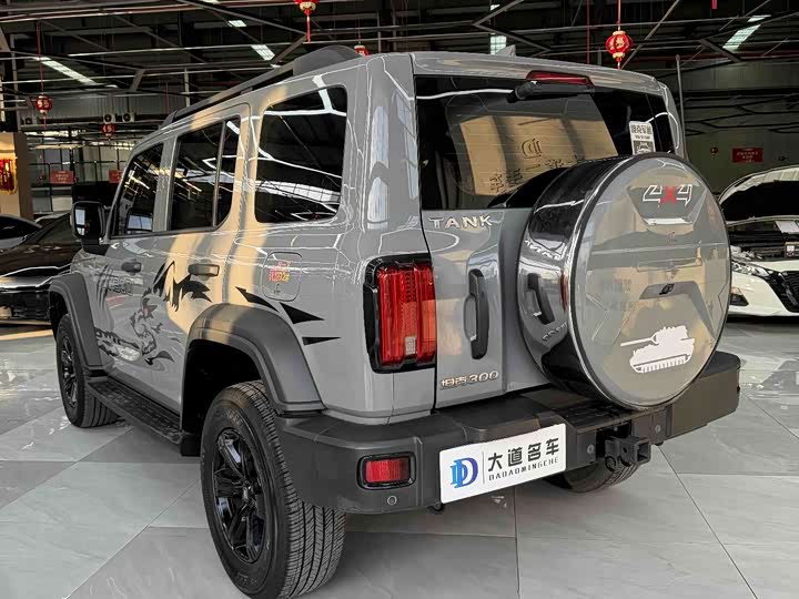 Фото 5 - Tank 300