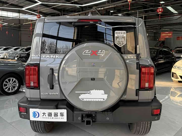 Фото 6 - Tank 300