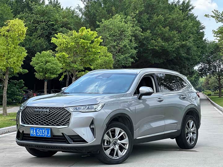 Фото 1 - Haval H6