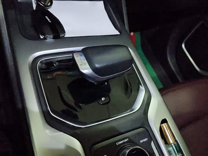 Фото 7 - Geely Okavango