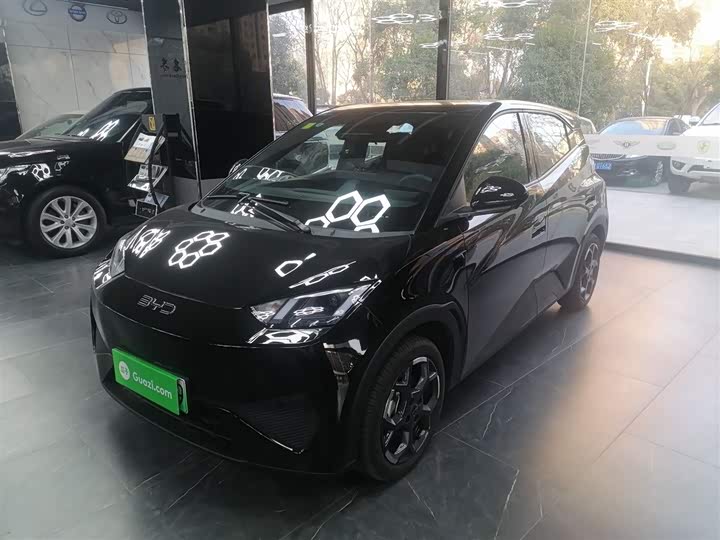 Фото 1 - BYD Seagull