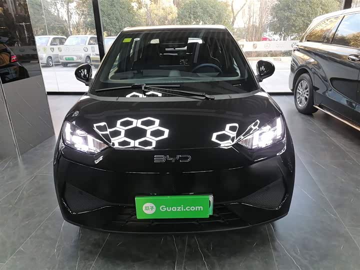 Фото 3 - BYD Seagull