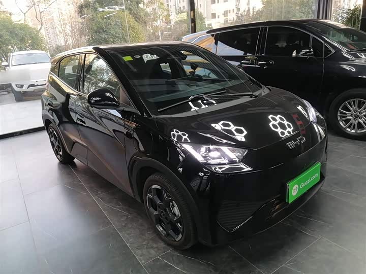 Фото 4 - BYD Seagull