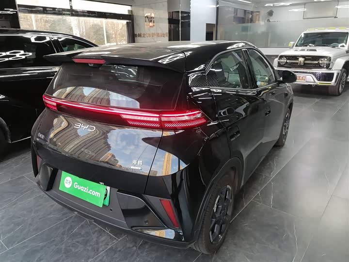 Фото 7 - BYD Seagull