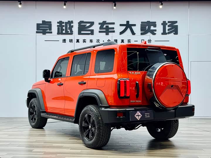 Фото 5 - Tank 300