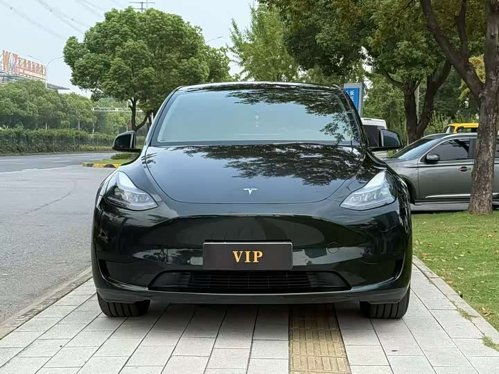 Фото 2 - Tesla Model Y