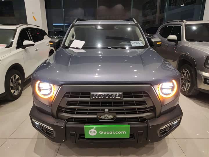 Фото 3 - Haval Dargo