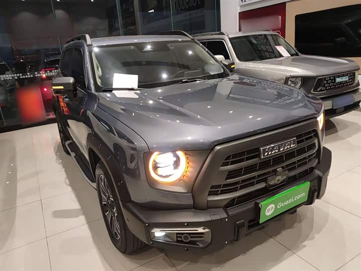 Фото 4 - Haval Dargo