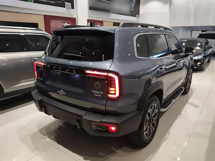 Фото 7 - Haval Dargo