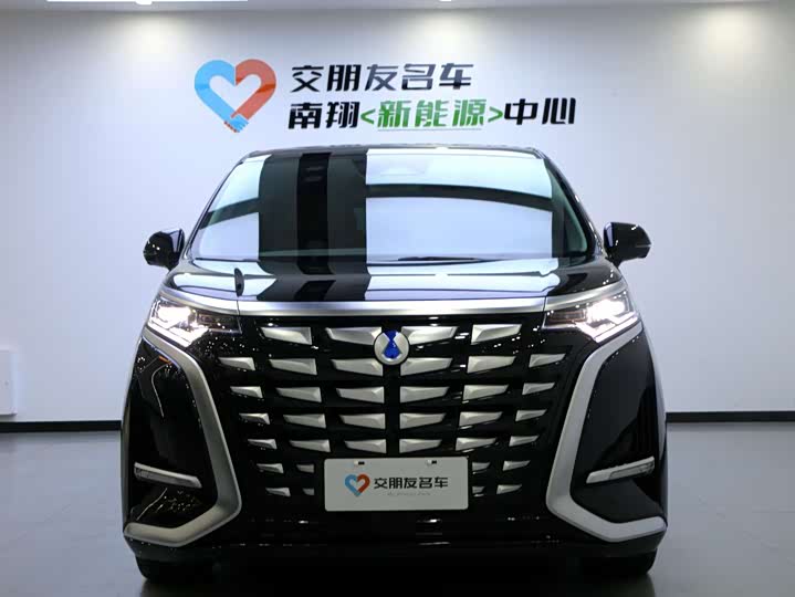 Фото 2 - Denza D9