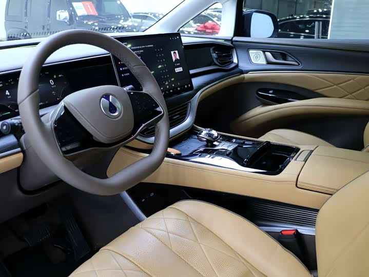 Фото 7 - Denza D9